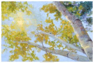 Aspen Canopy