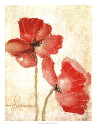 Vivid Red Poppies IV