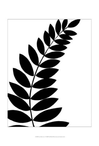 Leaf Silhouette I
