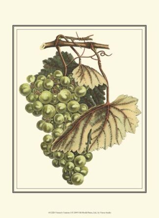 Vintner's Varieties I