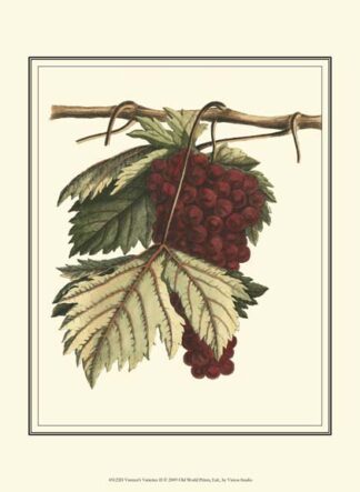 Vintner's Varieties II