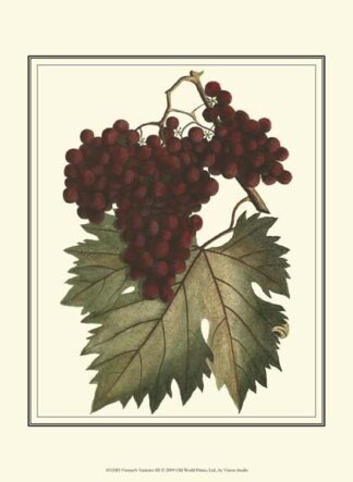 Vintner's Varieties III