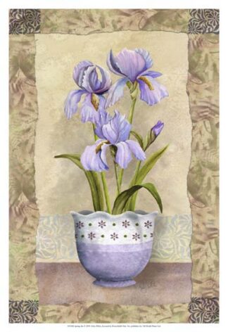 Spring Iris