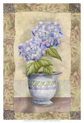 Spring Hydrangea