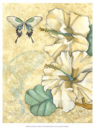 Small Hibiscus Medley I ***