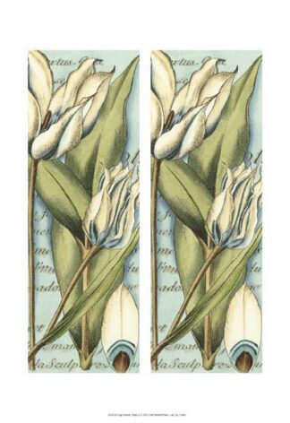 2-Up French Tulip II