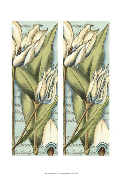 2-Up French Tulip II