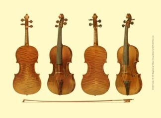 Antique Violins I