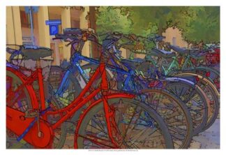 Colorful Bicycles I