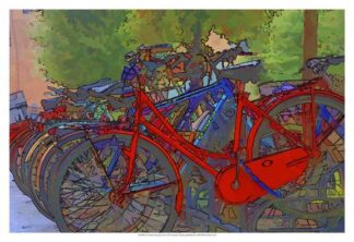 Colorful Bicycles II