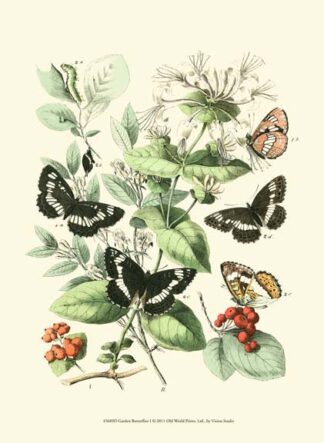 Garden Butterflies I