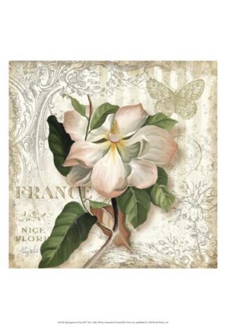 Springtime in Paris III