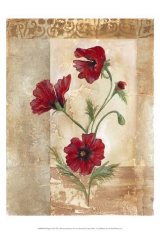 Red Poppies III