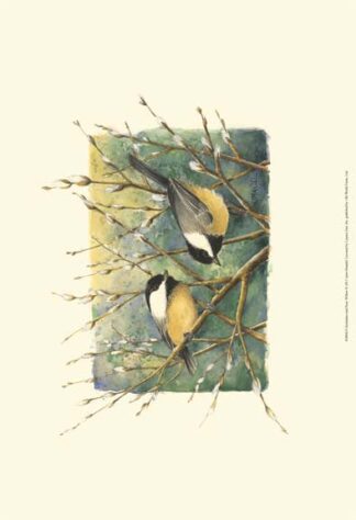 Chickadees and Pussy Willow