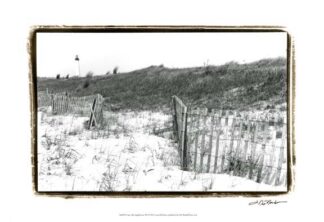 Cape May Lighthouse III