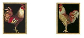 Mini Roosters on Black