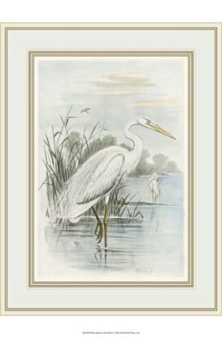 White Heron