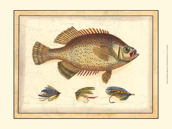 Printed Doug's Crappie