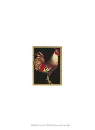 Single Rooster (IP) I