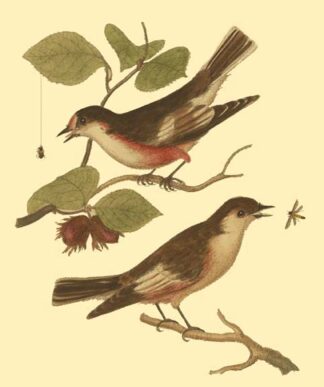 Antique Bird Pair I