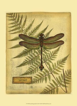 Royal Dragonflies III