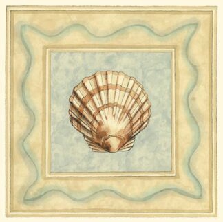 Shell Collector IV