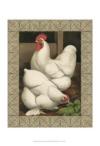 Cassell's Roosters with Border I