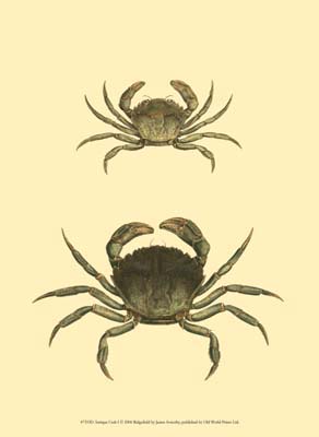 Antique Crab I