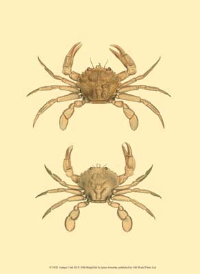 Antique Crab III