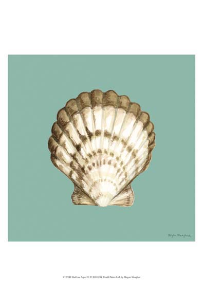 Shell on Aqua III