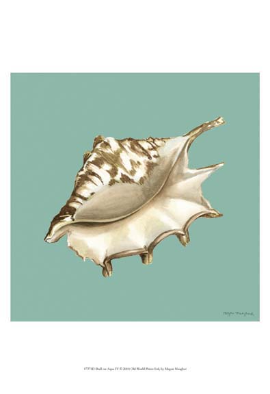 Shell on Aqua IV