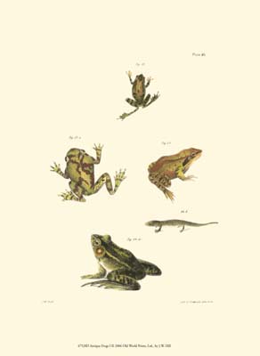 Antique Frogs I