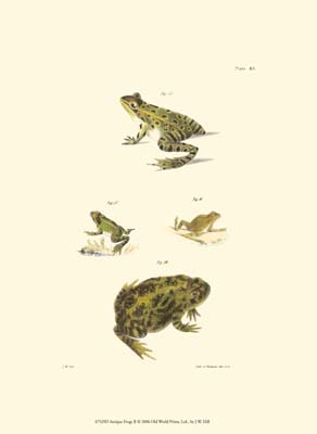 Antique Frogs II