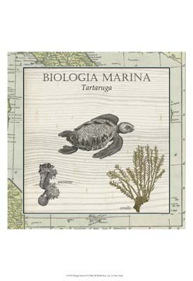 Biologia Marina IV