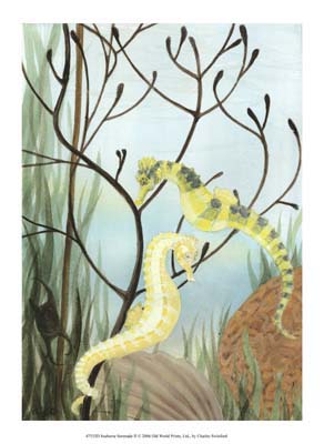 Seahorse Serenade II