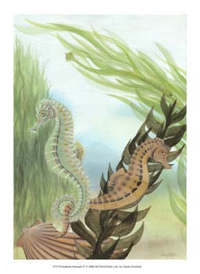 Seahorse Serenade IV