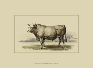 Antique Cow I