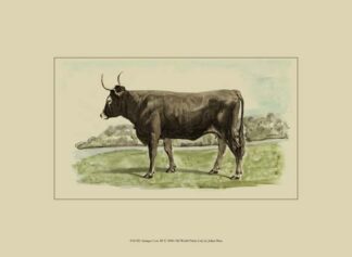 Antique Cow III