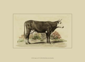 Antique Cow IV