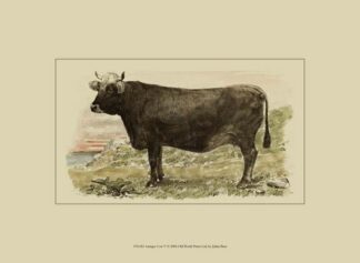 Antique Cow V