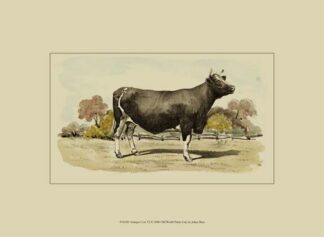Antique Cow VI