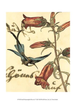 Small Hummingbird Reverie I