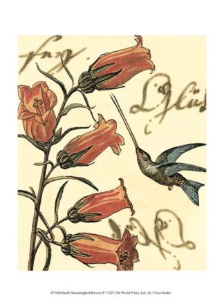 Small Hummingbird Reverie II