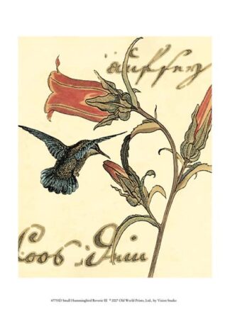 Small Hummingbird Reverie III