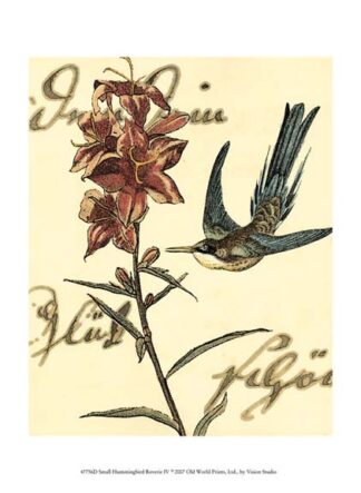 Small Hummingbird Reverie IV