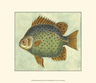 Small Butterfly Fish II