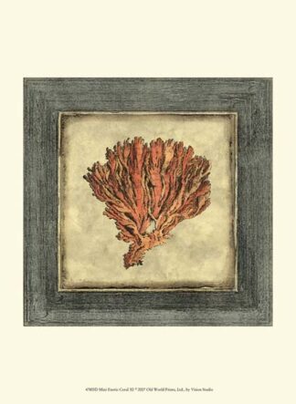 Mini Exotic Coral XI