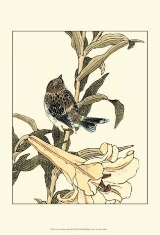 Oriental Bird on Branch II