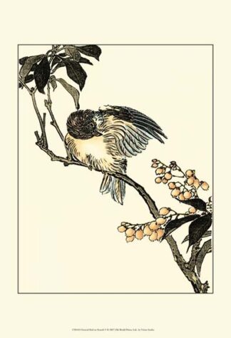Oriental Bird on Branch V