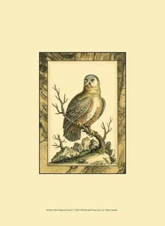 Mini Majestic Perch I